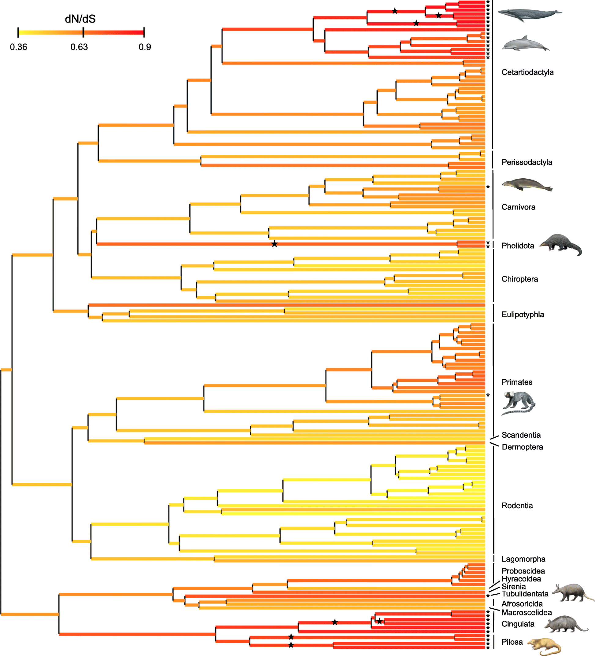 Fig. 4