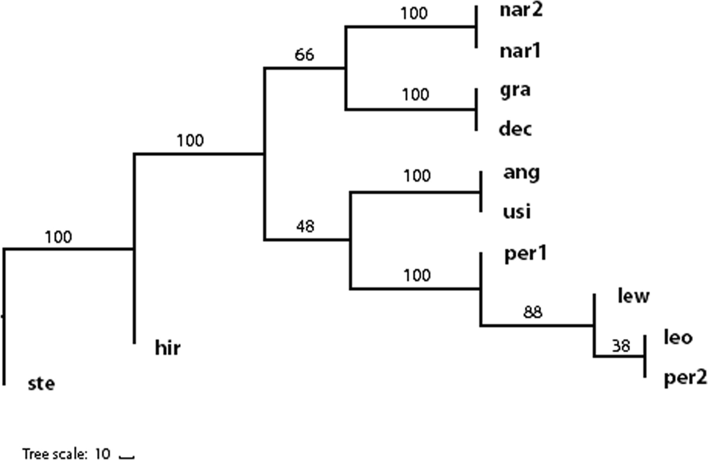 Fig. 2