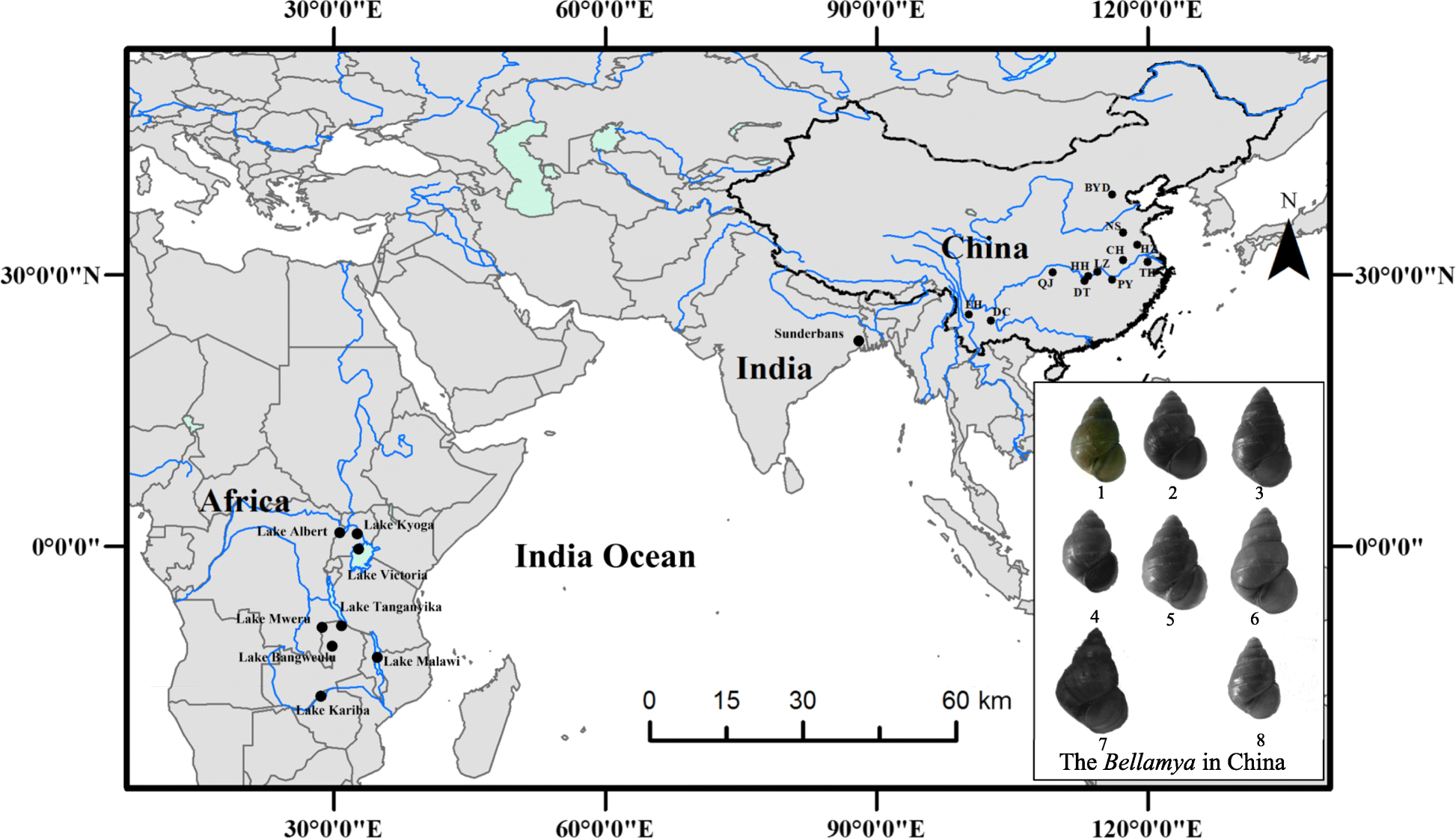 Fig. 4