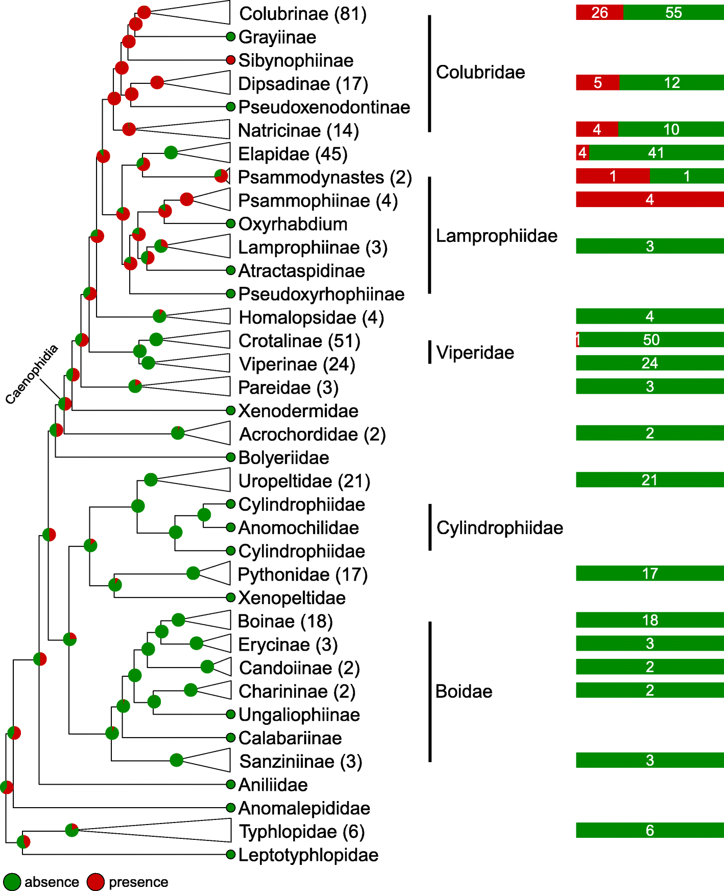 Fig. 8