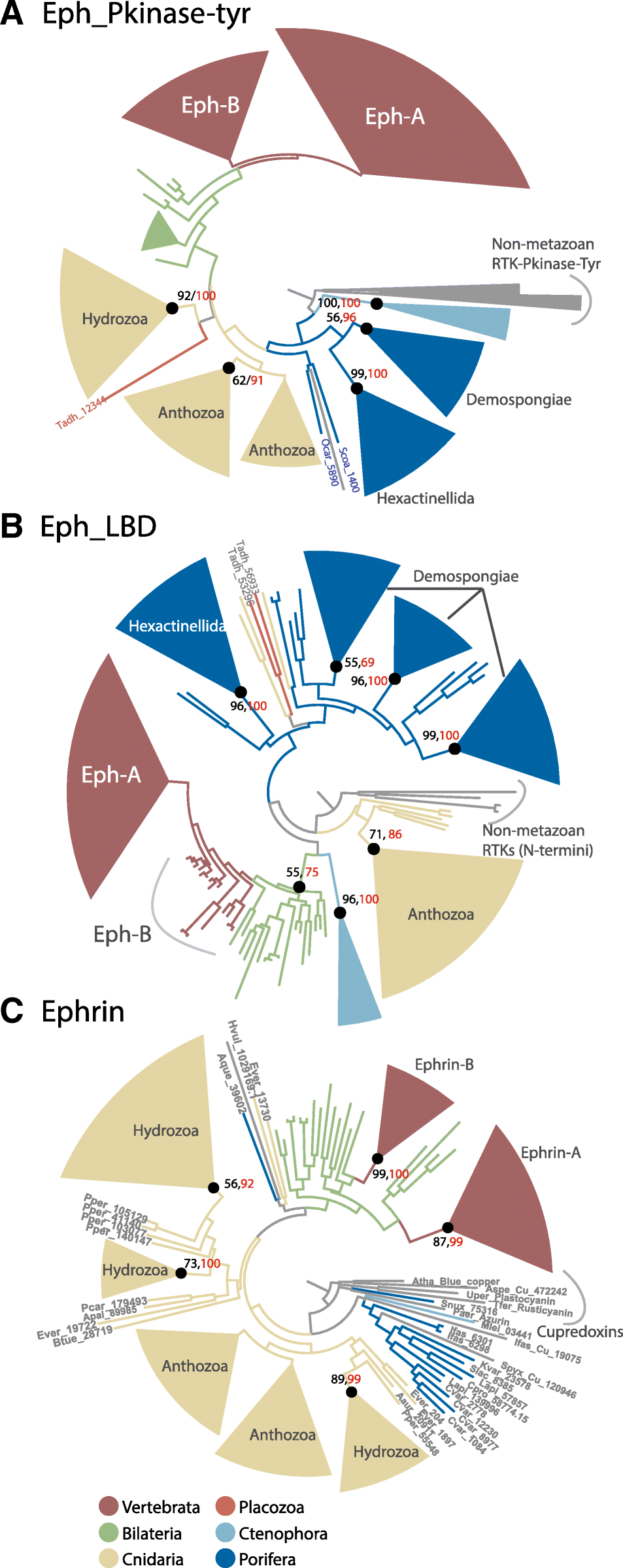 Fig. 4