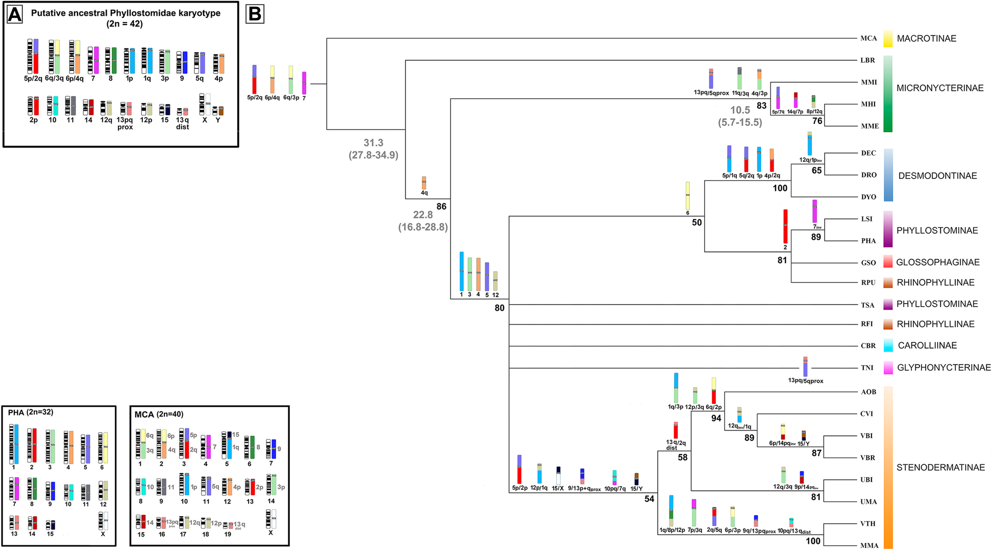 Fig. 4