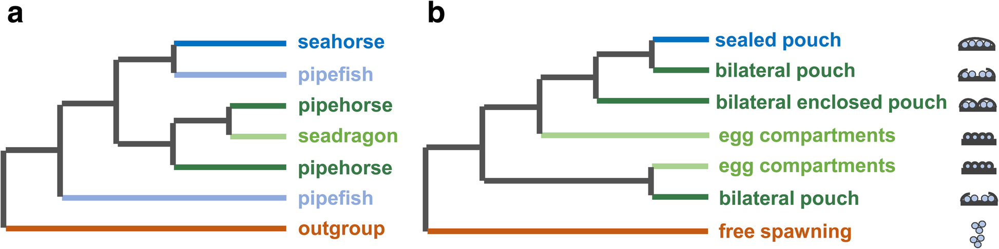 Fig. 7