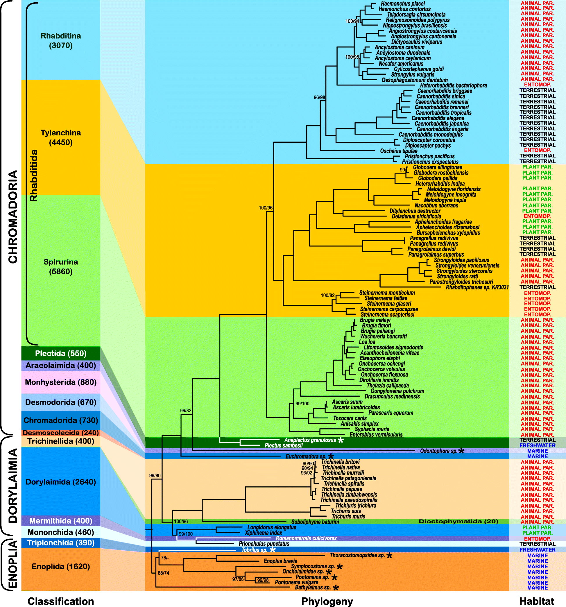 Diversity, Free Full-Text