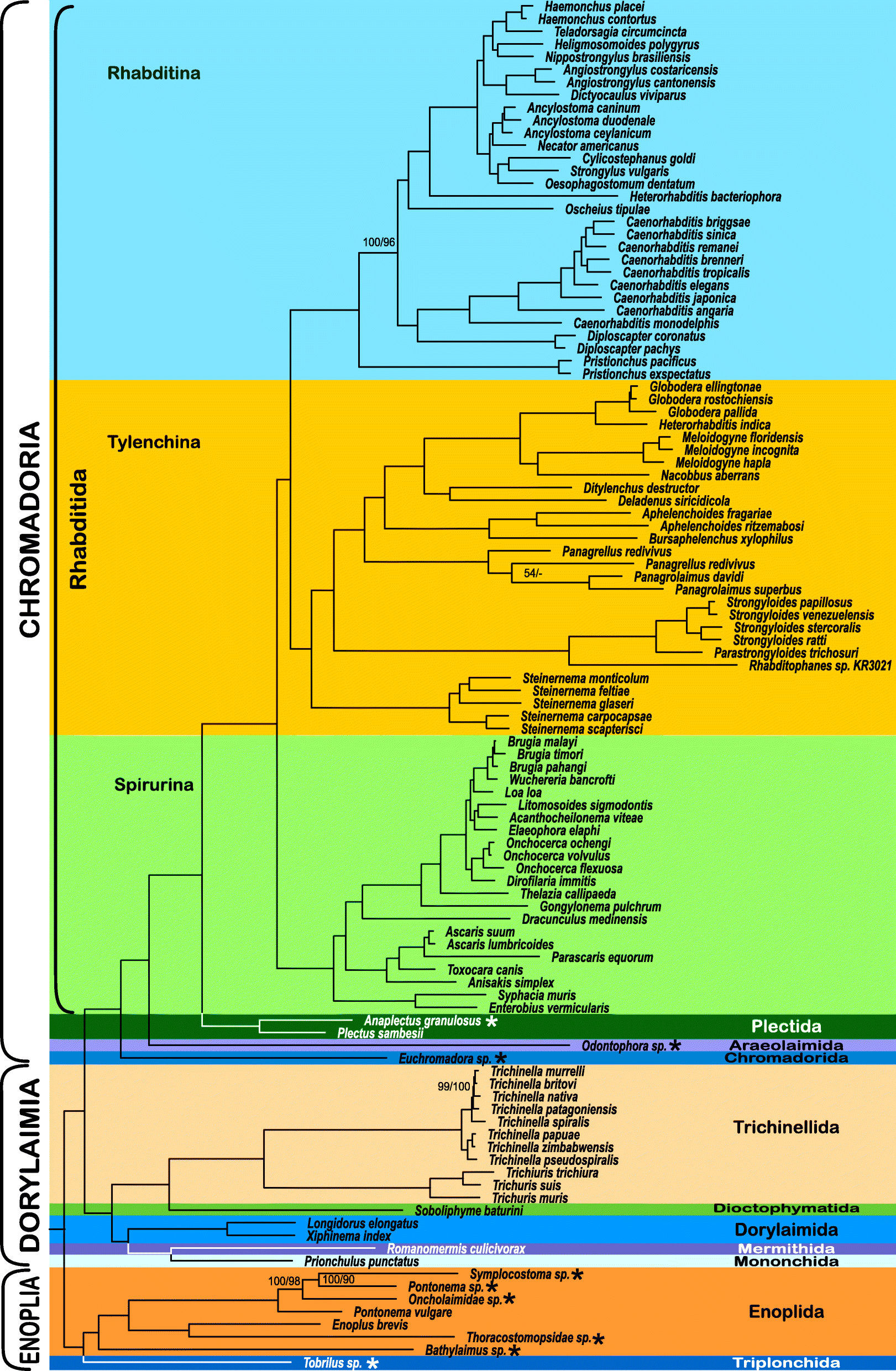 Fig. 2