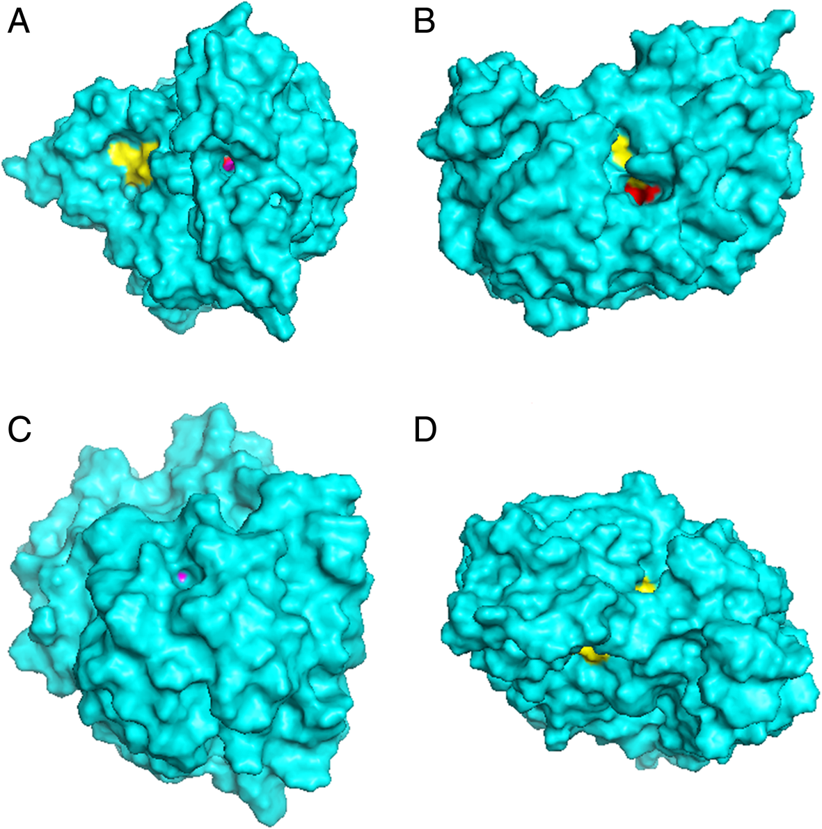 Fig. 1