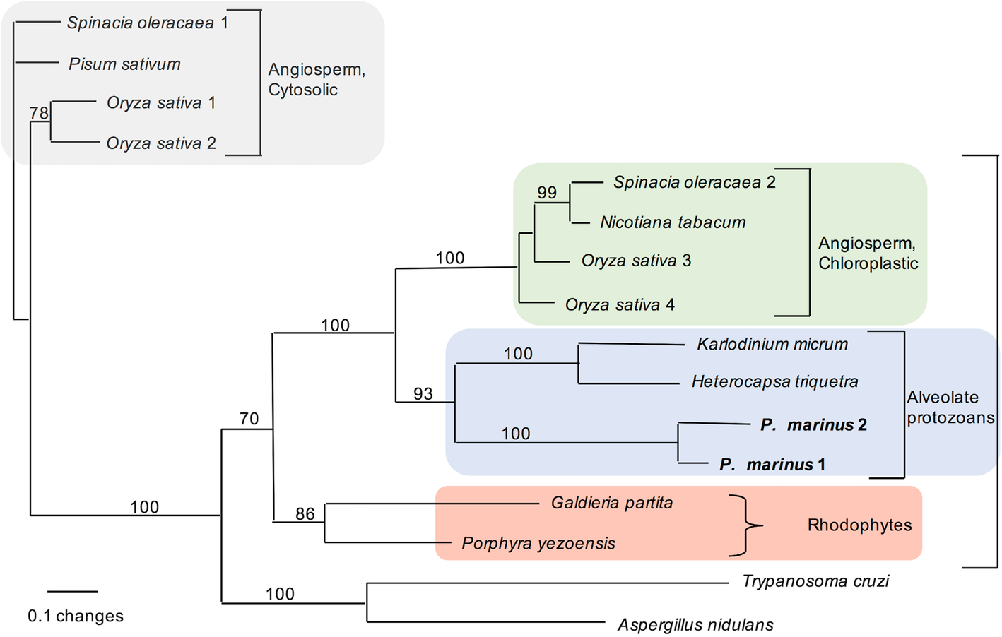 Fig. 4