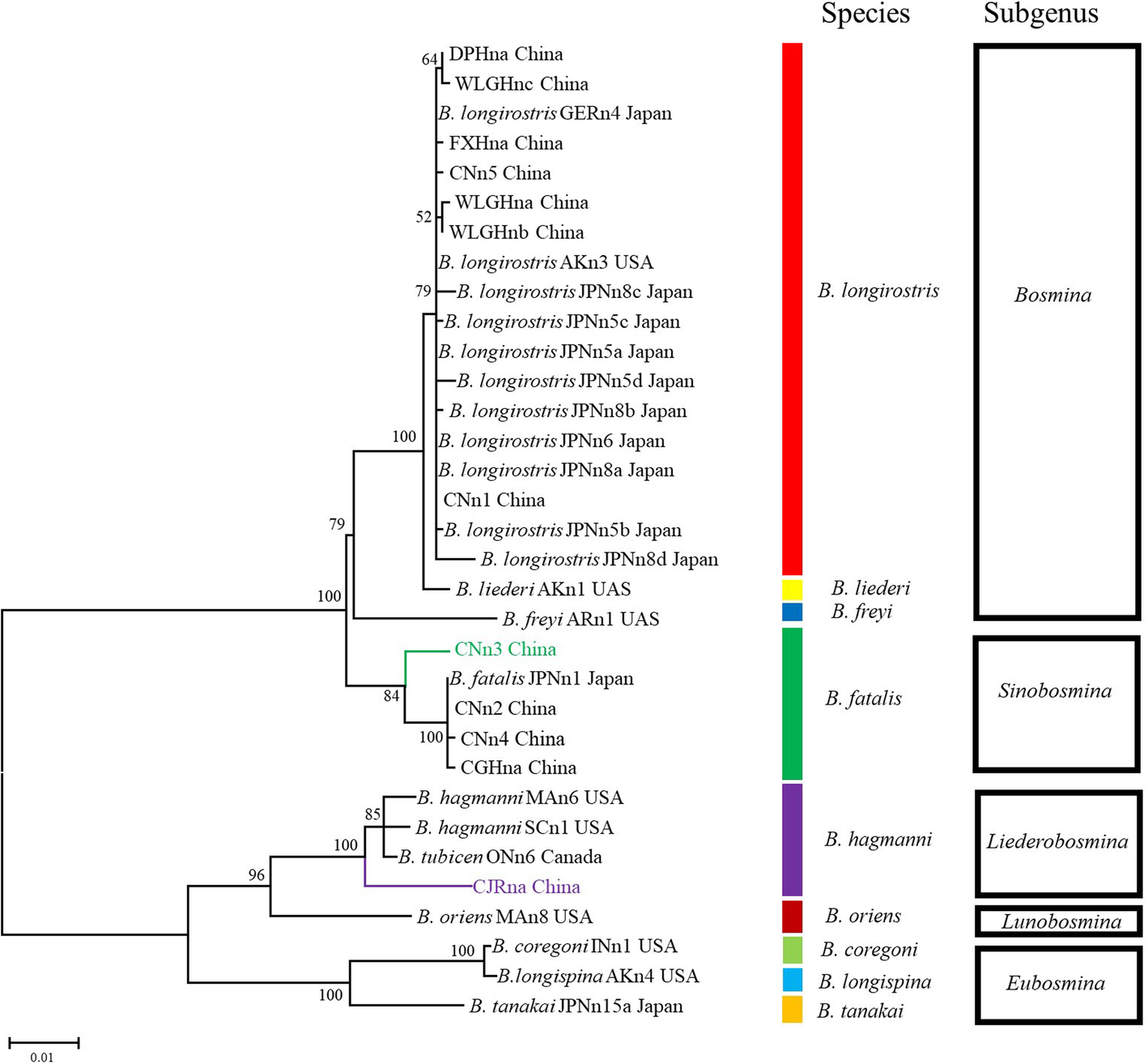 Fig. 3