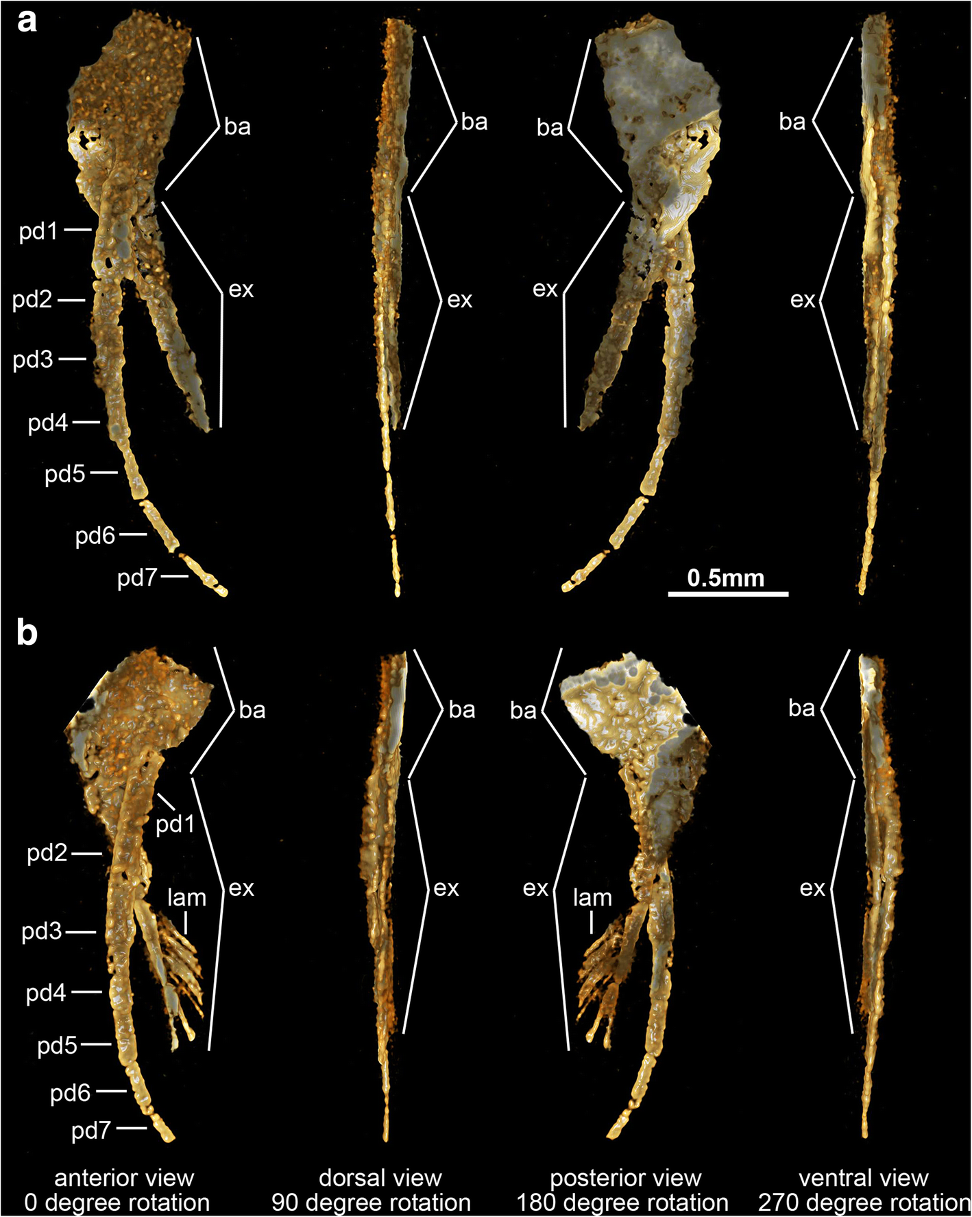 Fig. 5