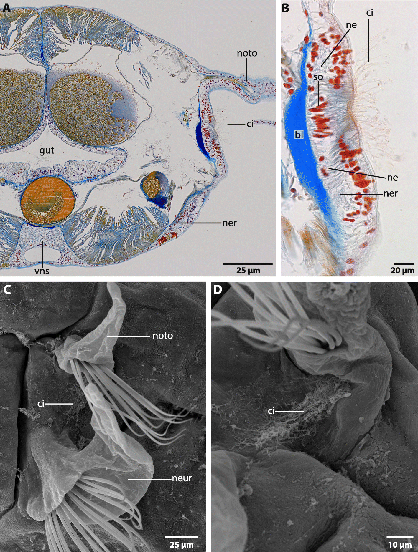 Fig. 10