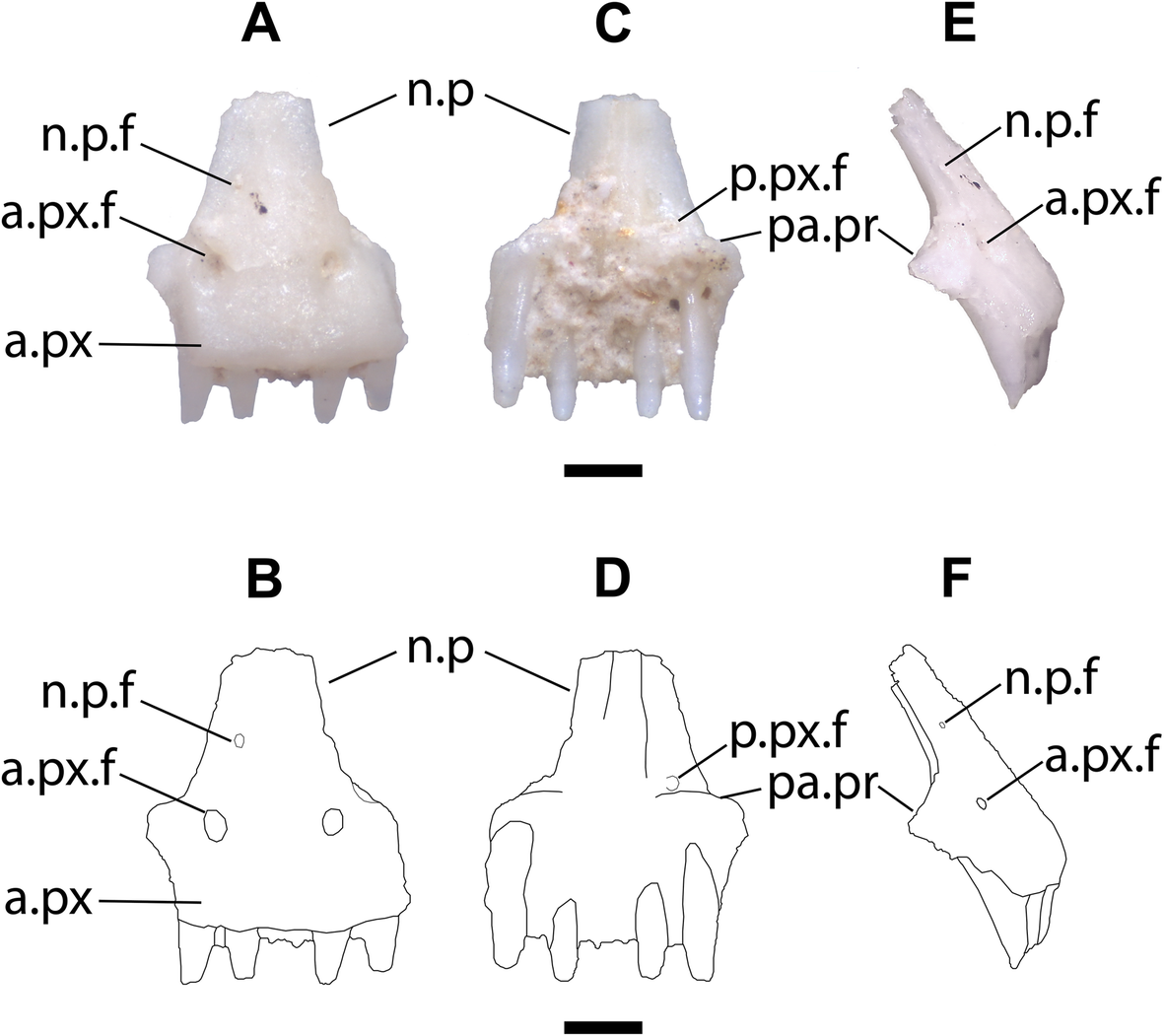 Fig. 3