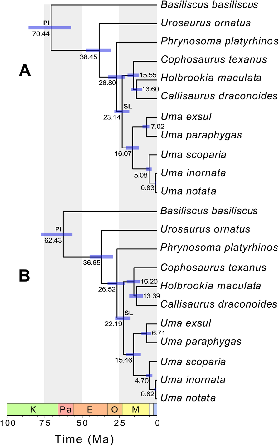 Fig. 8