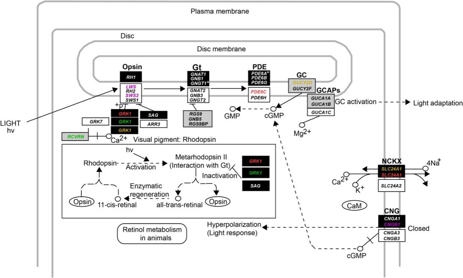 Fig. 2