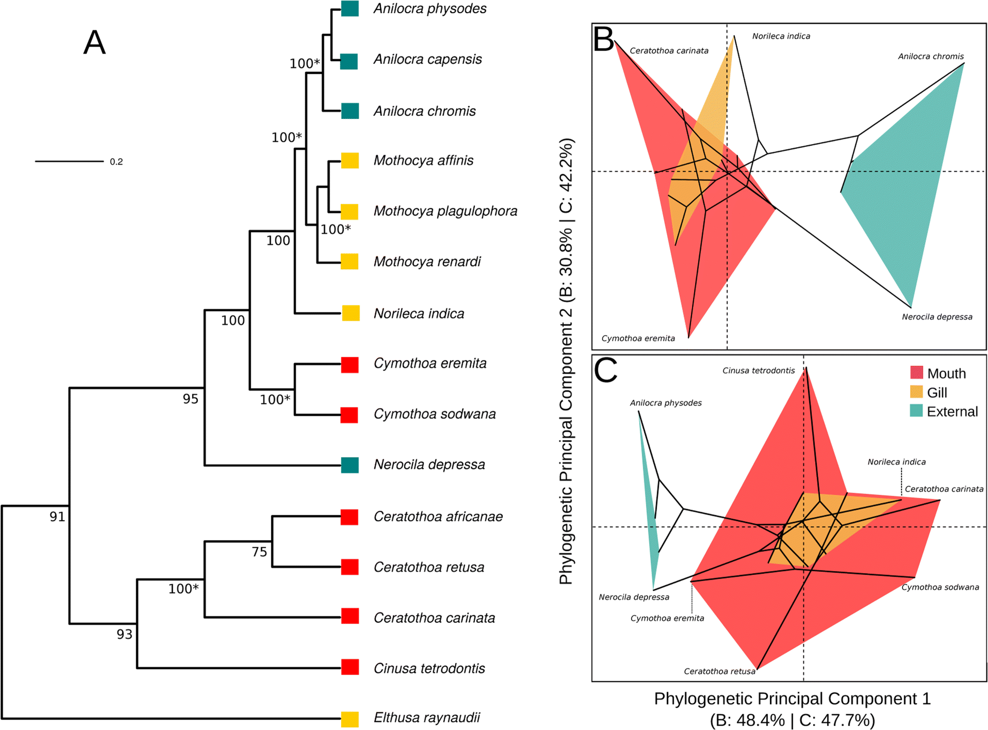 Fig. 3