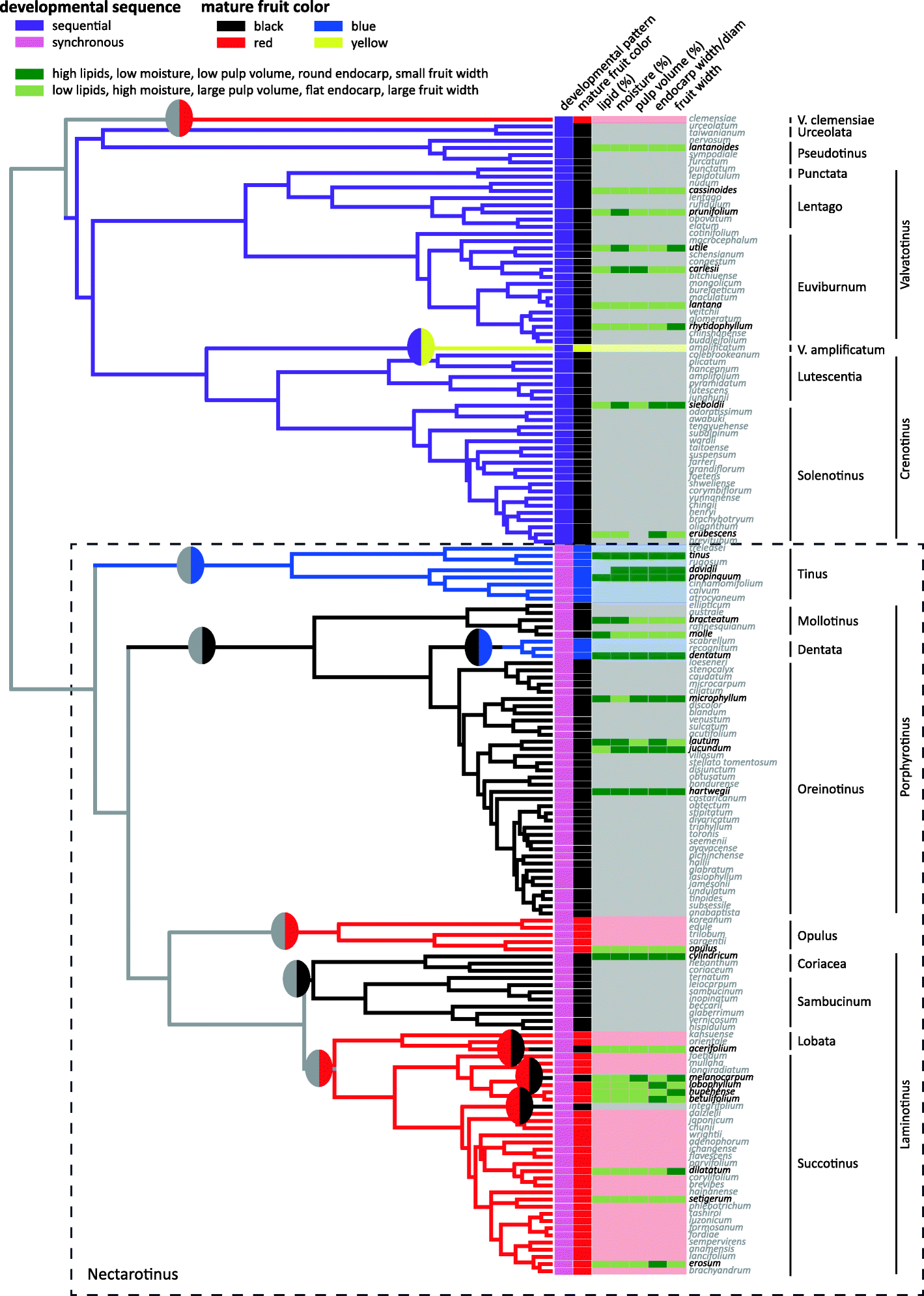 Fig. 7