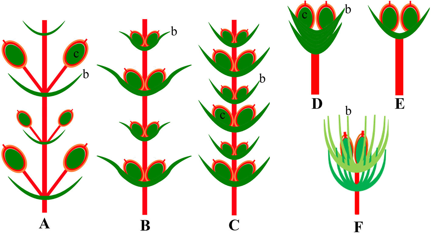 Fig. 5