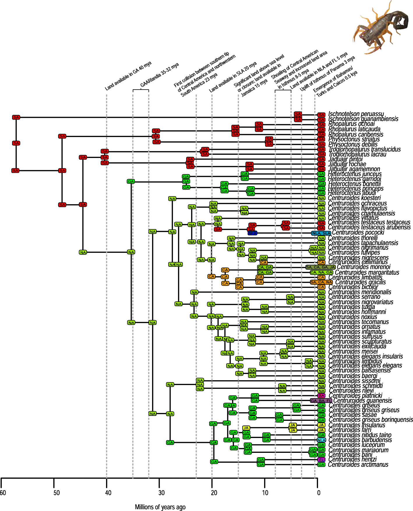 Fig. 11