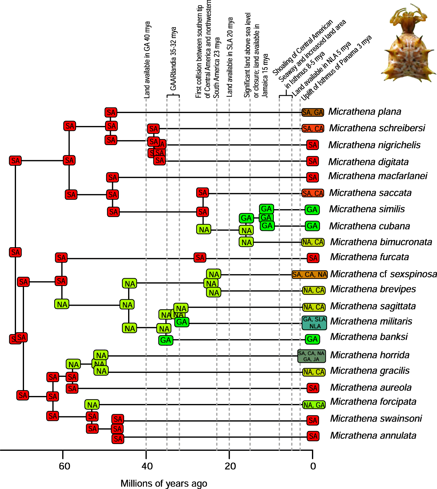 Fig. 12