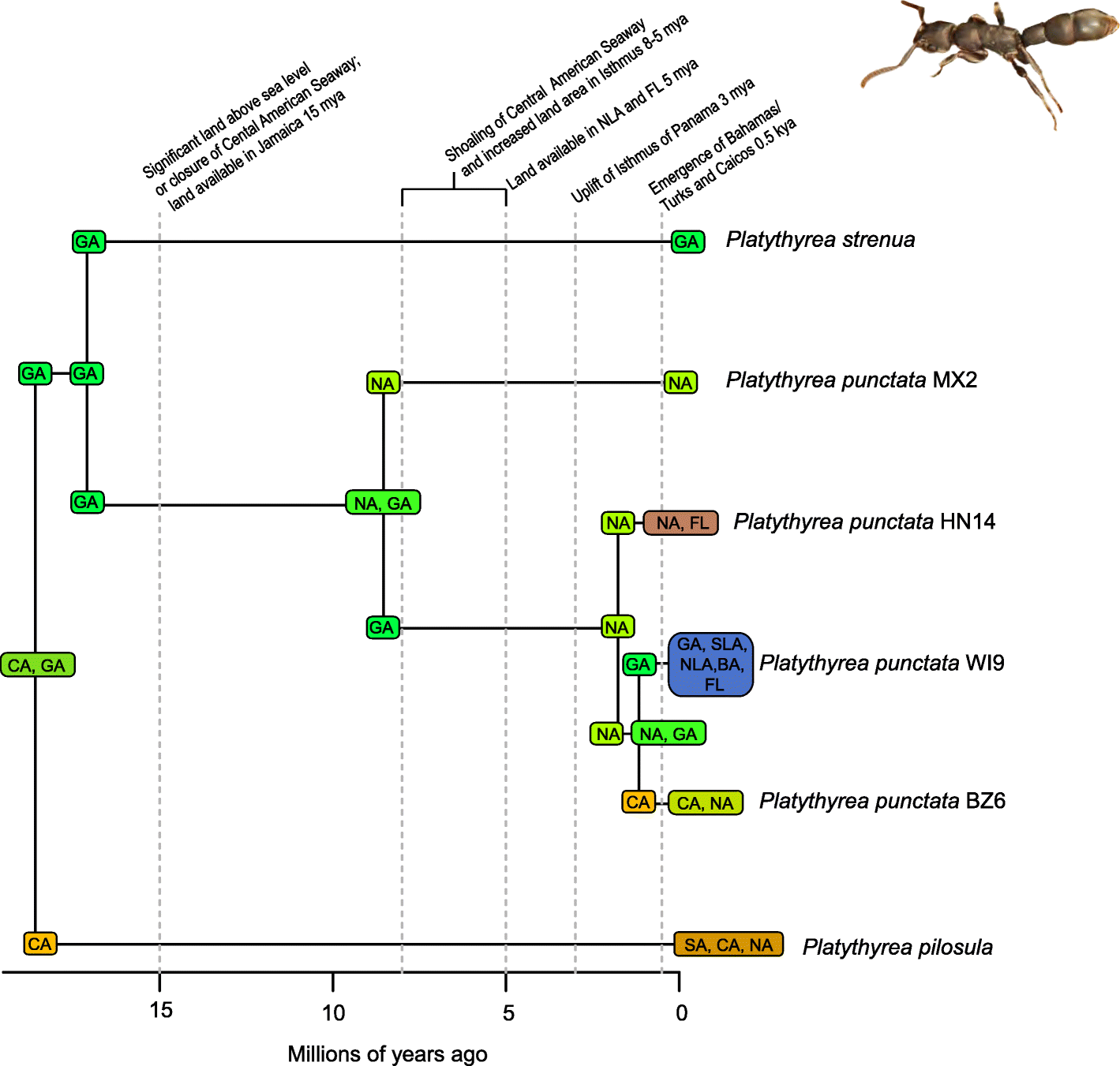 Fig. 3