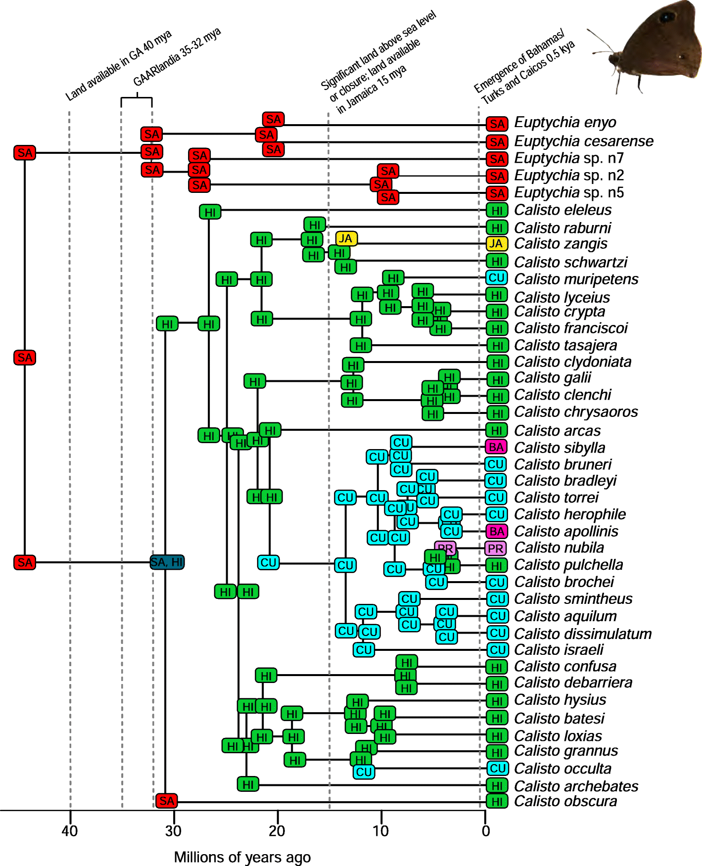 Fig. 6