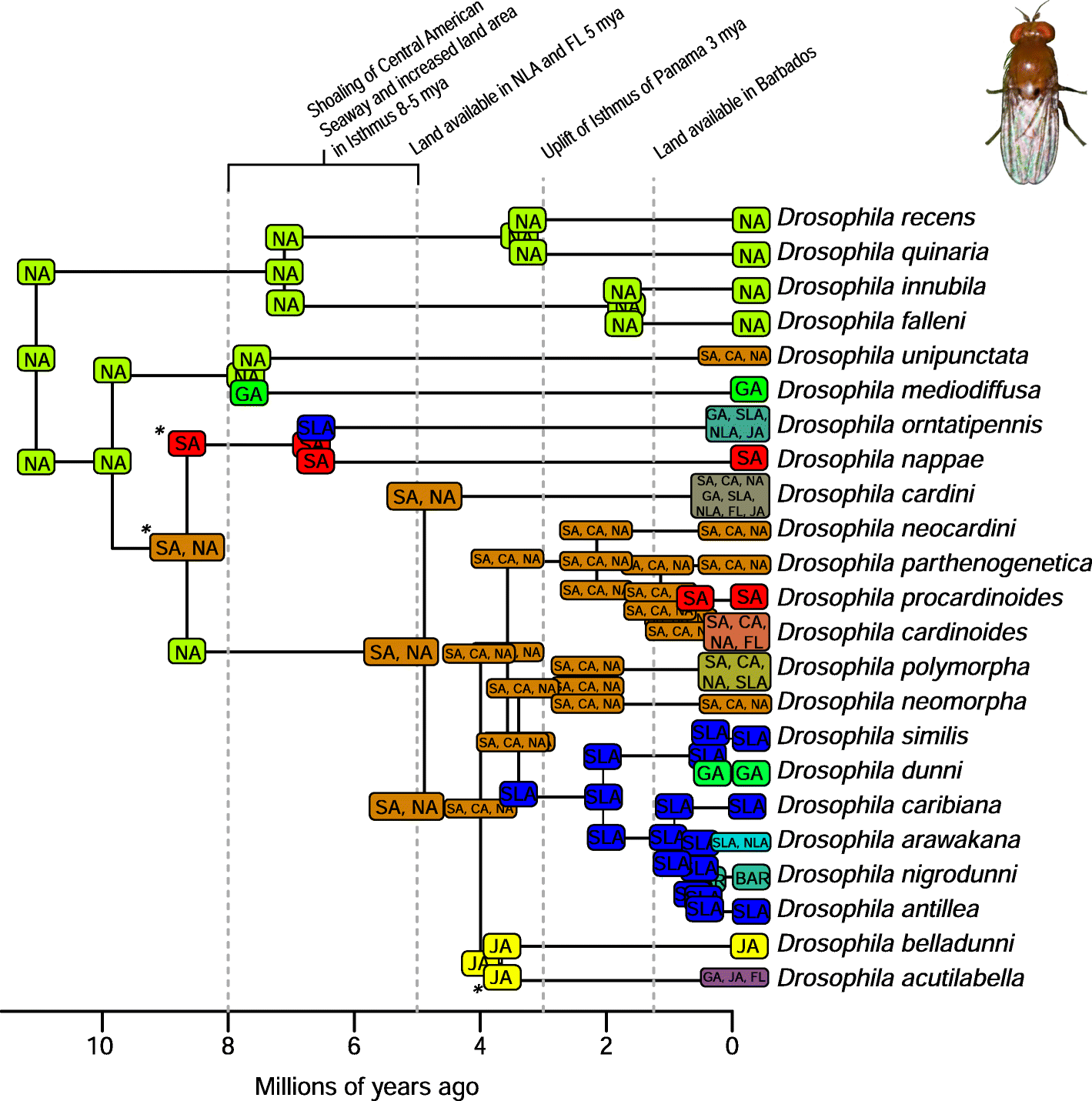 Fig. 9