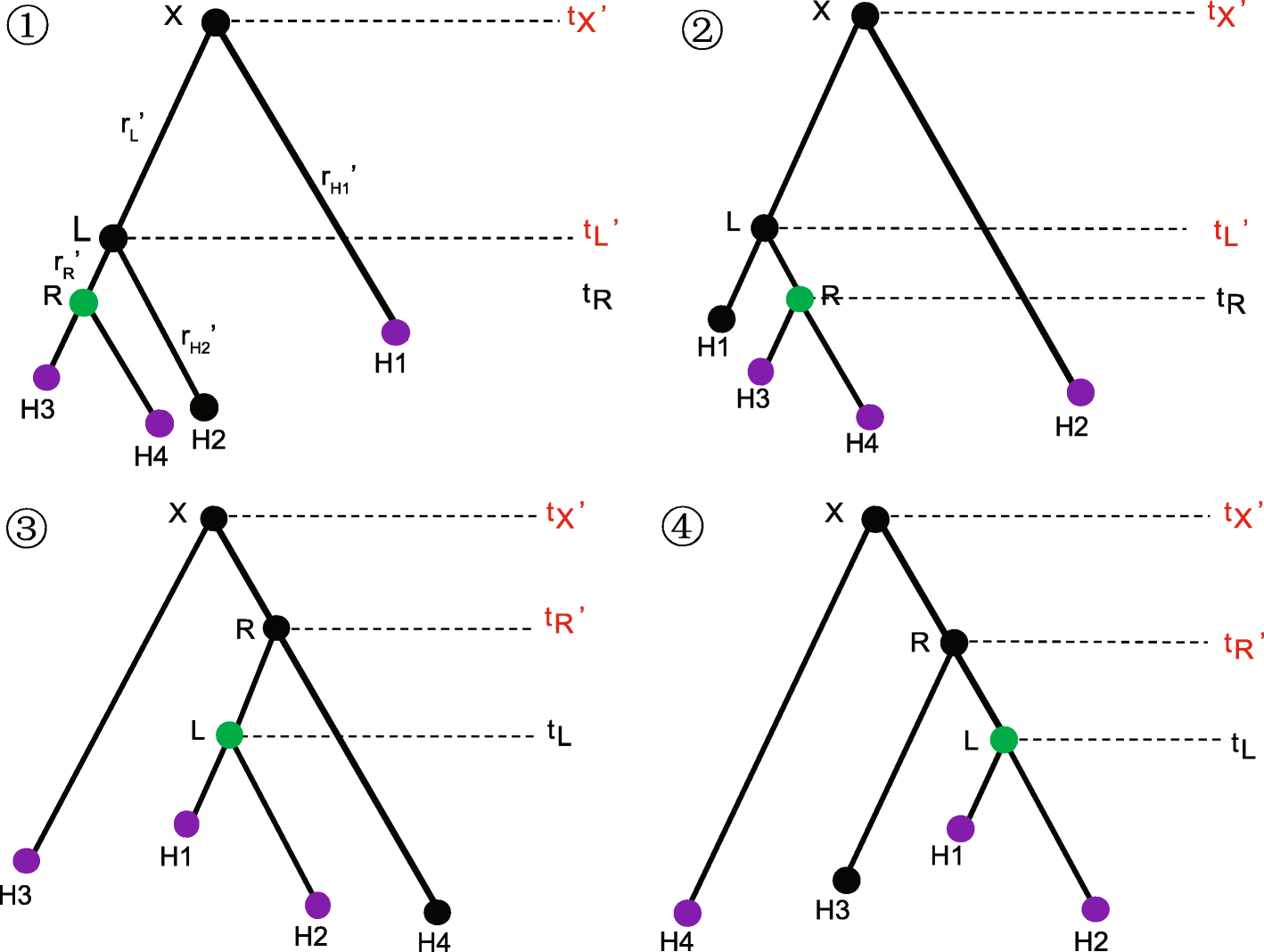 Fig. 11