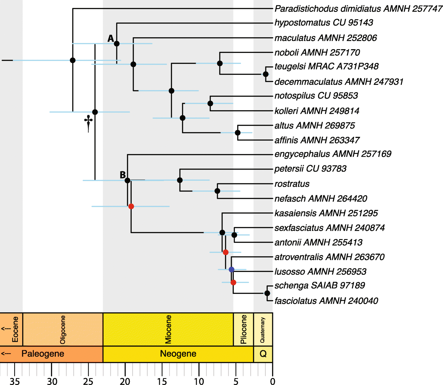 Fig. 6