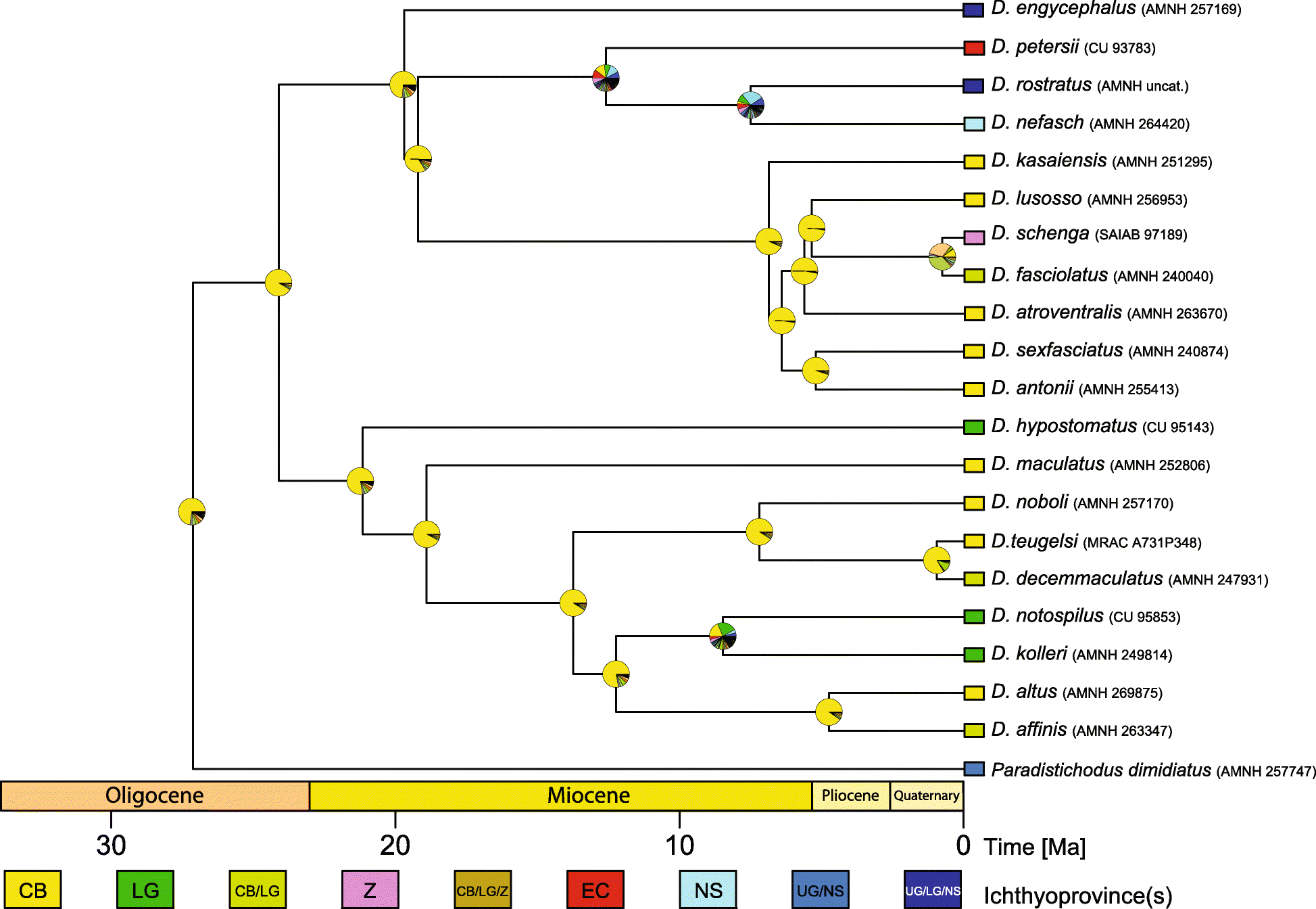 Fig. 7