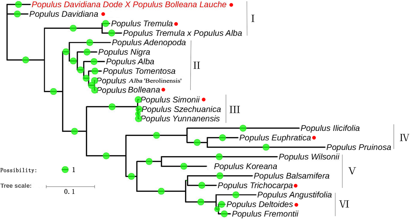 Fig. 5