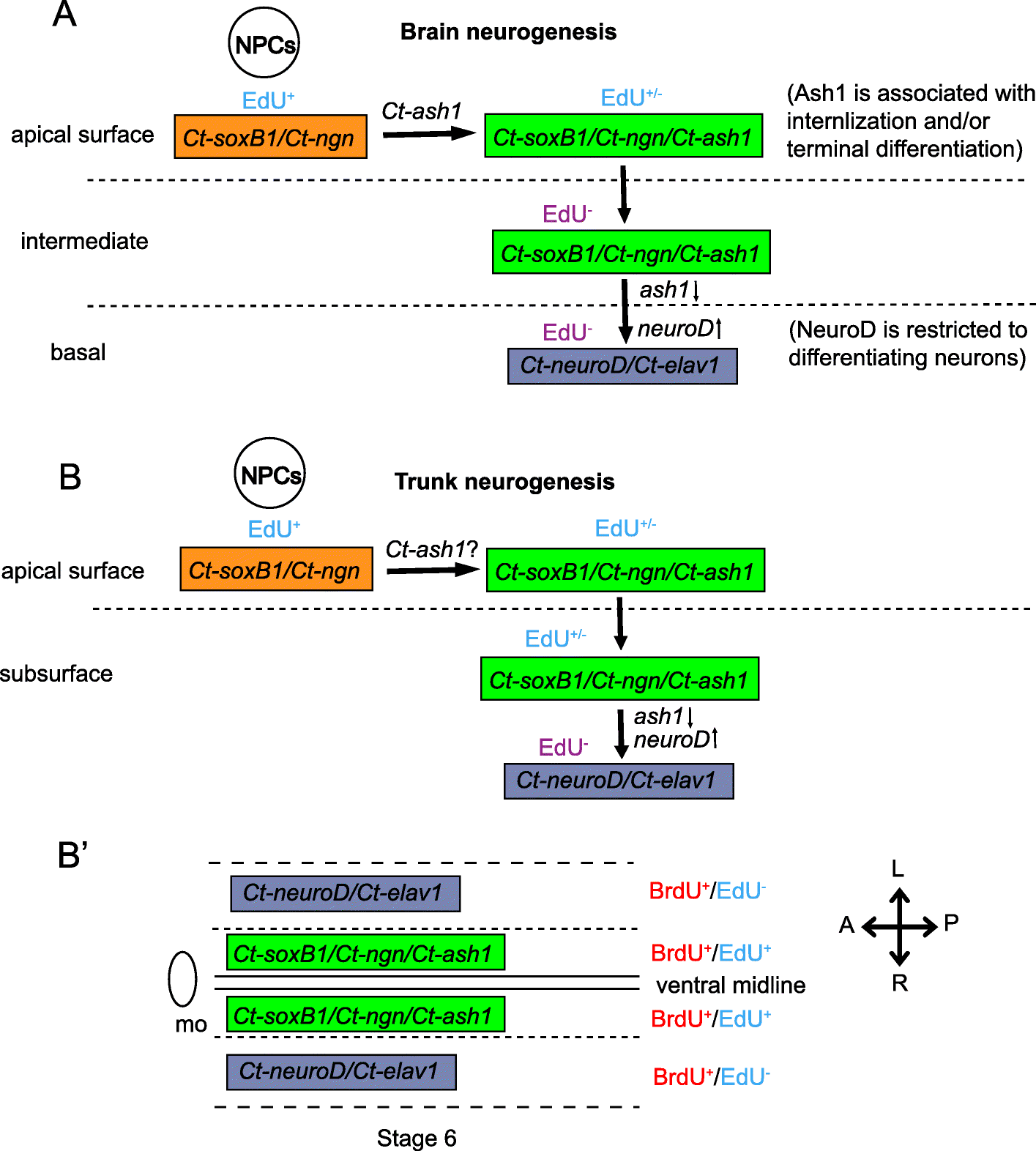 Fig. 11