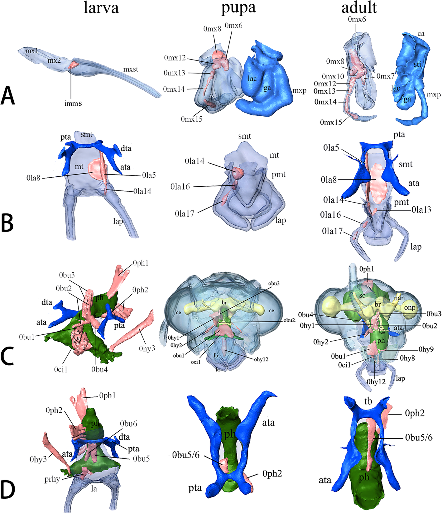 Fig. 8