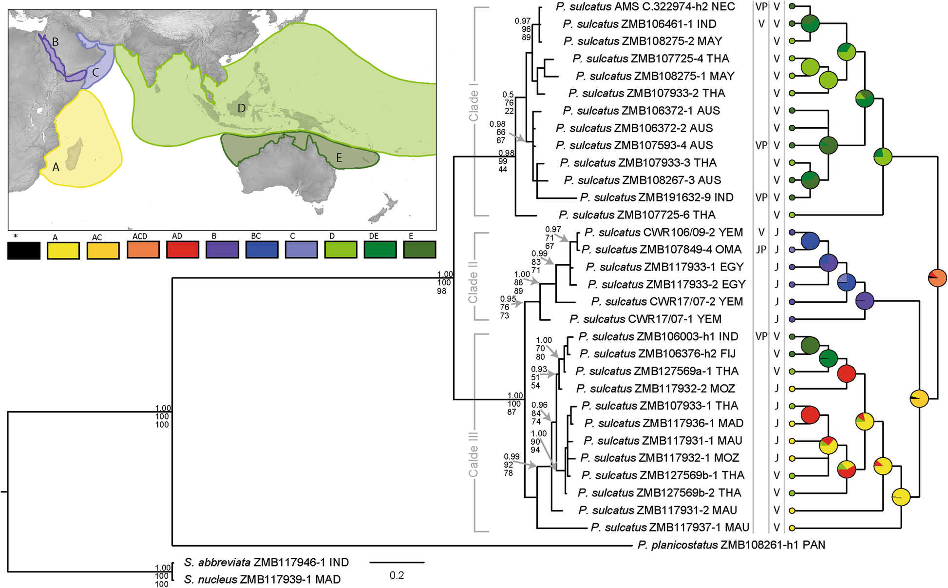 Fig. 2