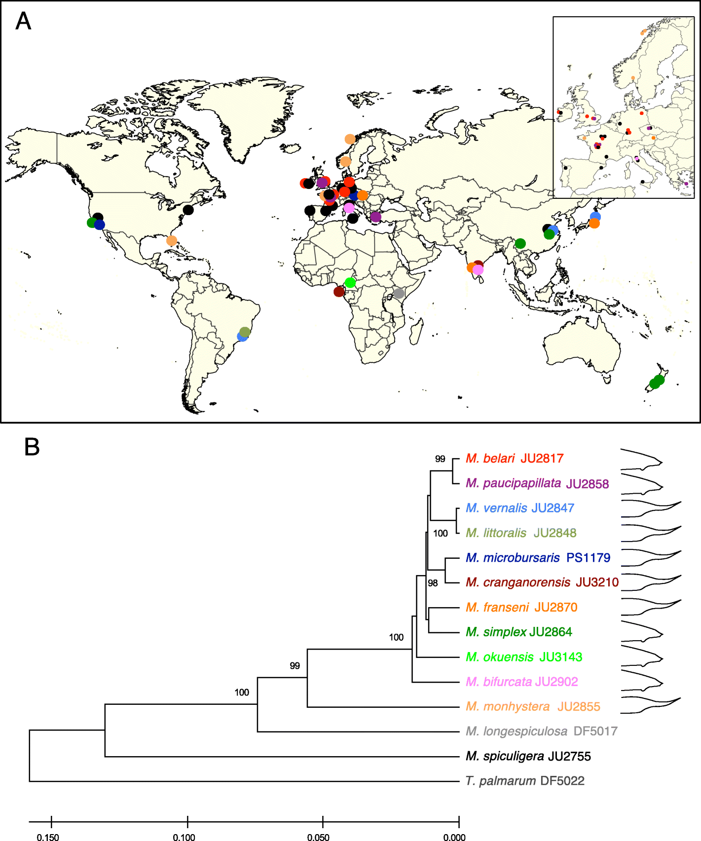 Fig. 1