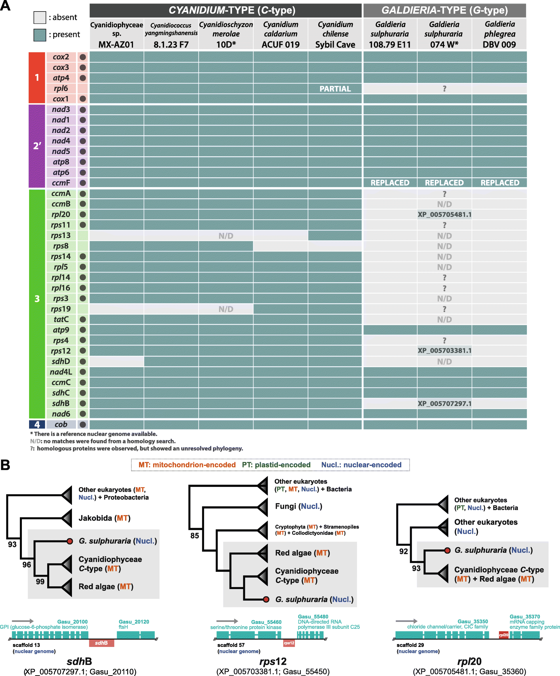 Fig. 2