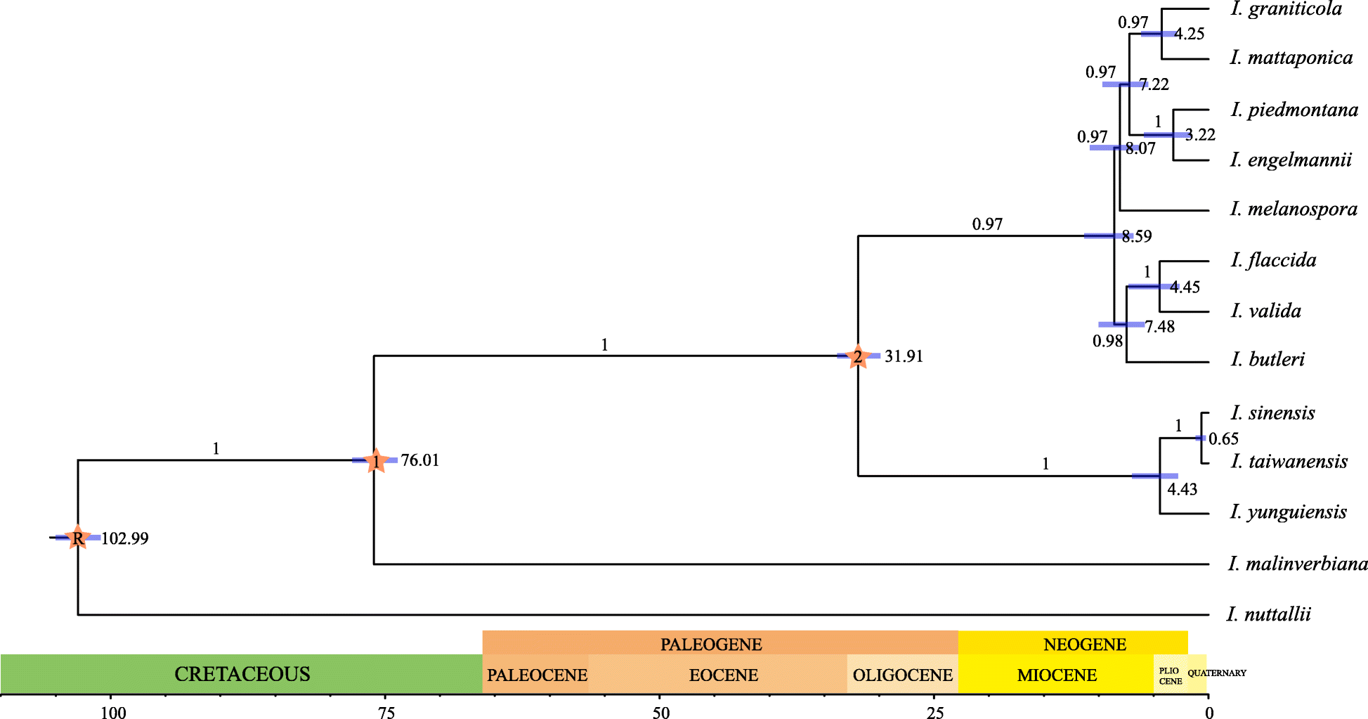 Fig. 5