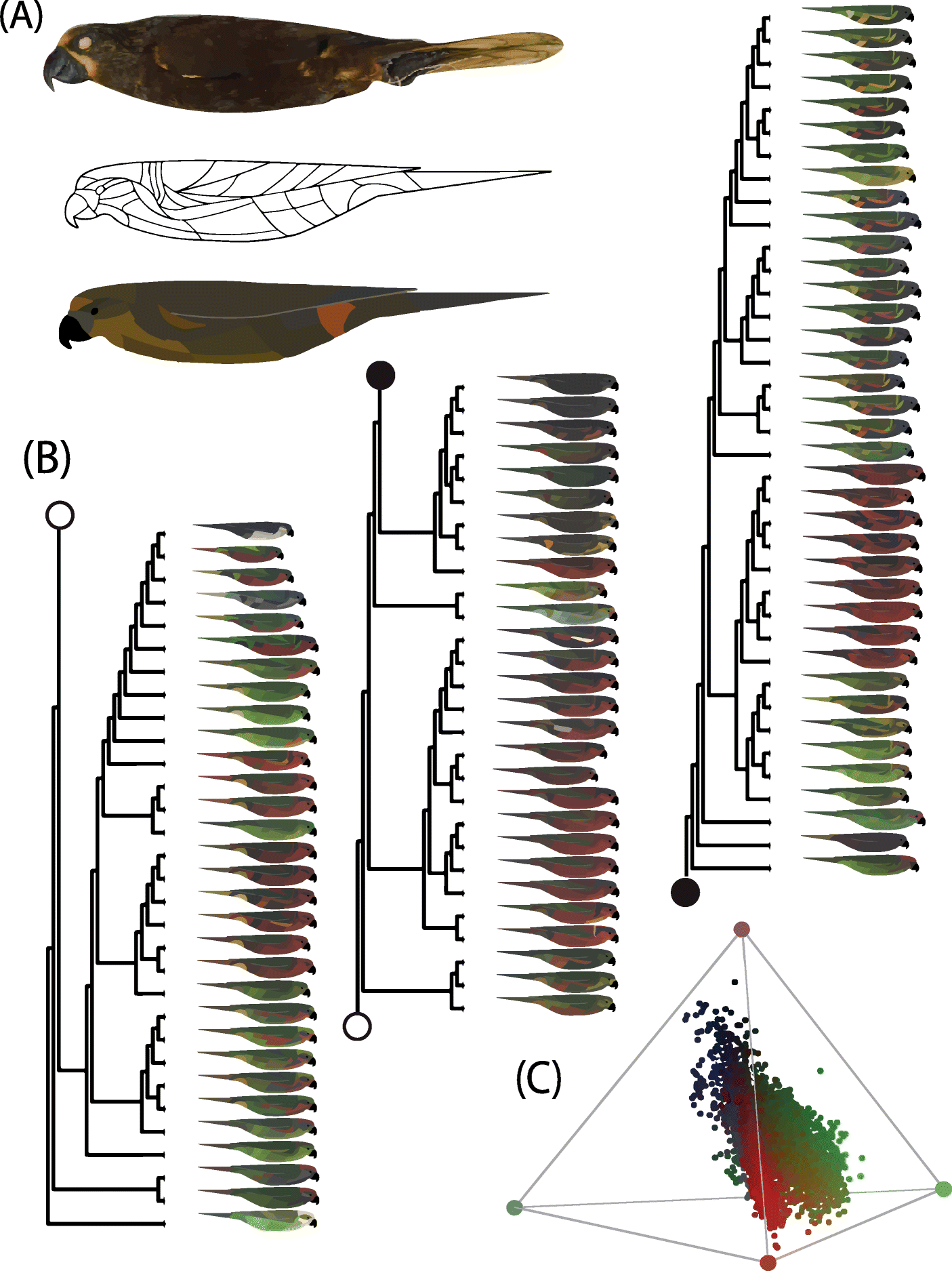 Fig. 1