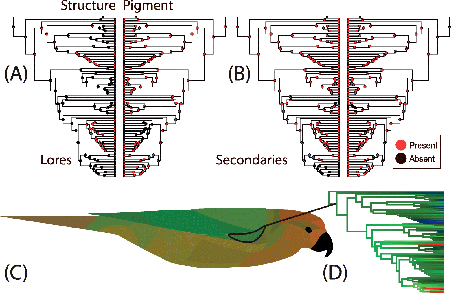 Fig. 5