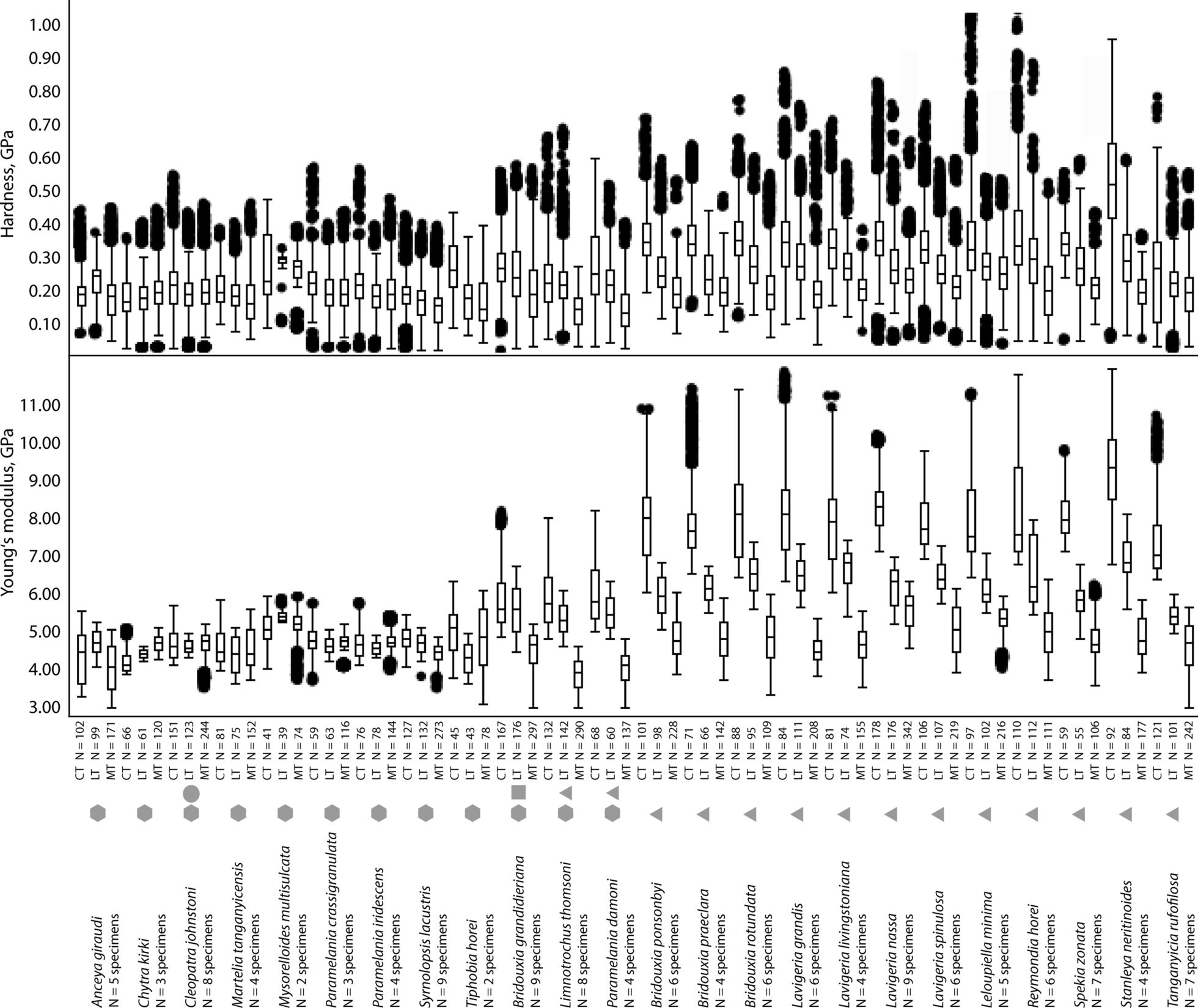 Fig. 10