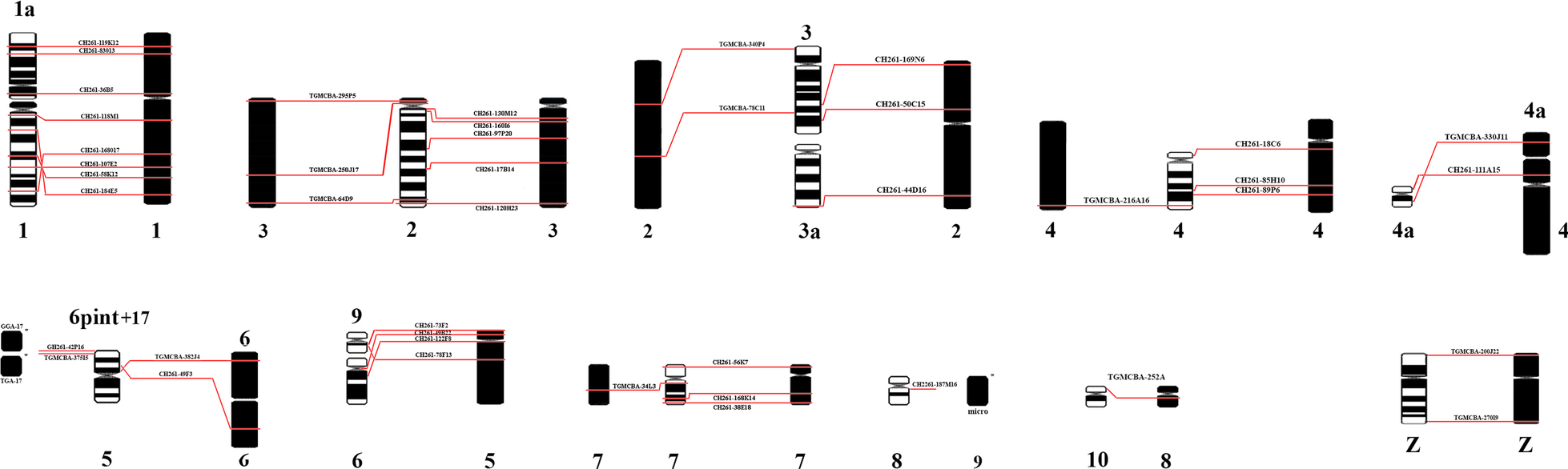 Fig. 5