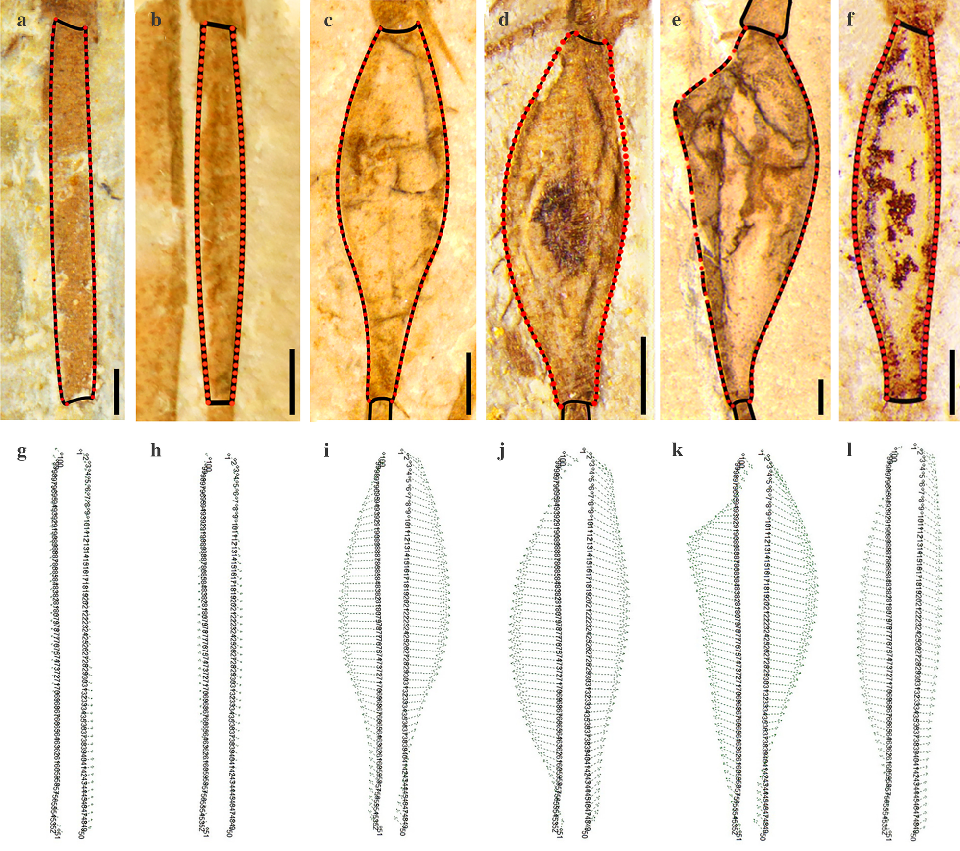 Fig. 6