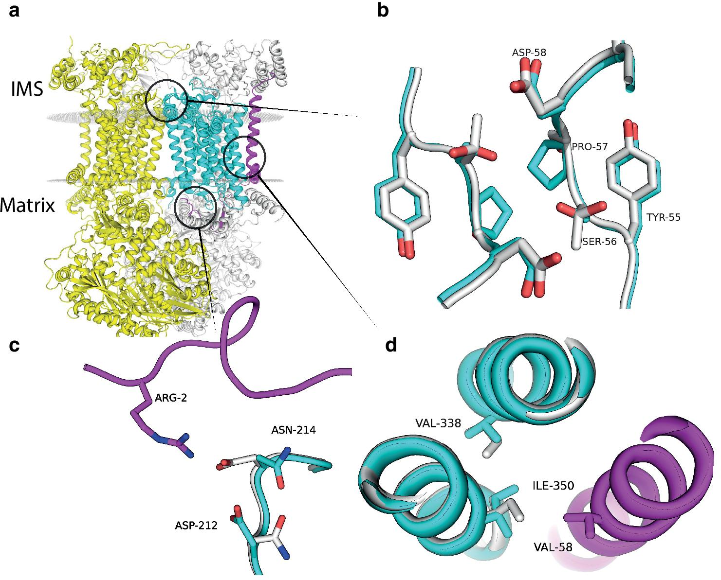 Fig. 2