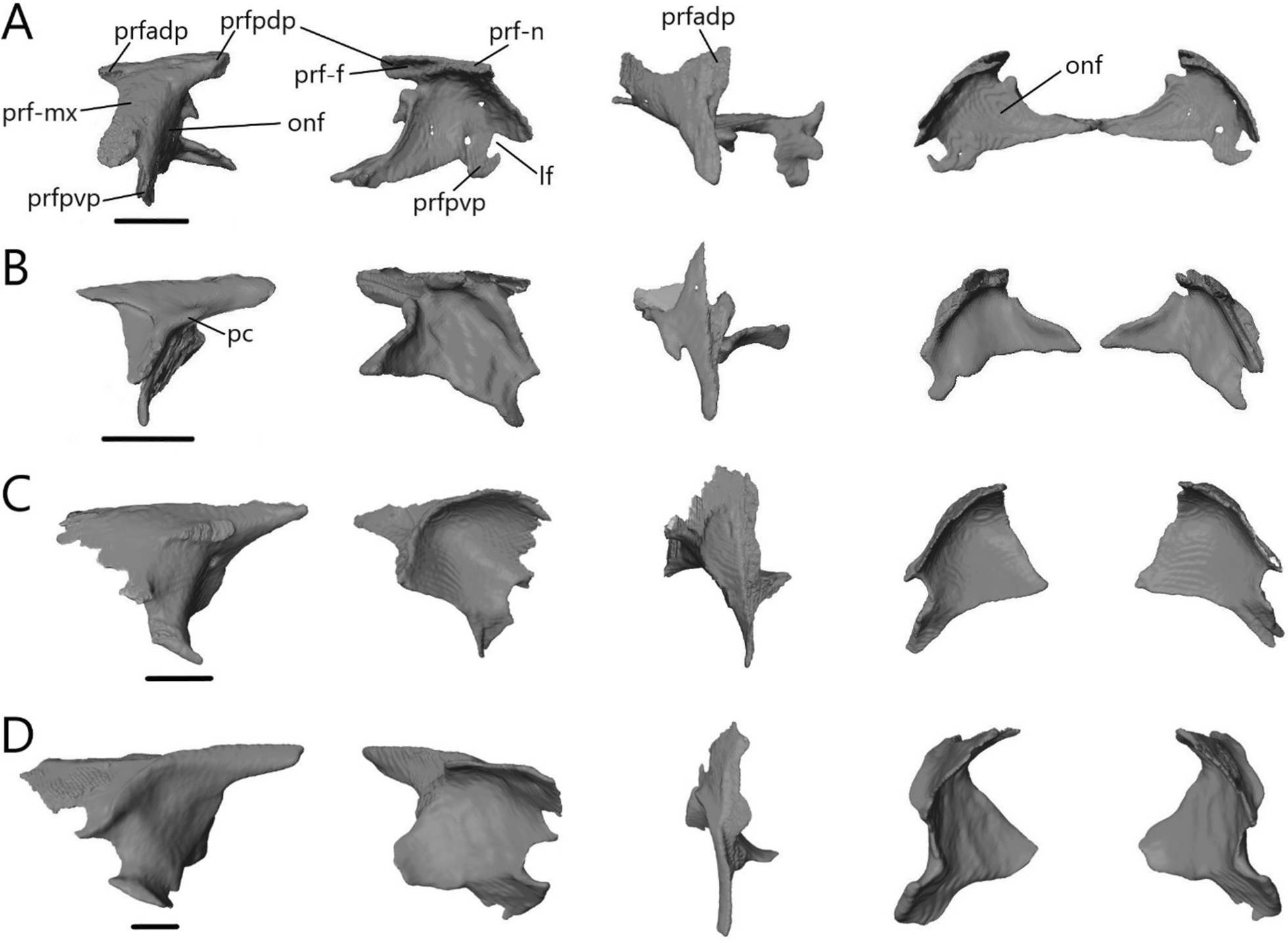 Fig. 11