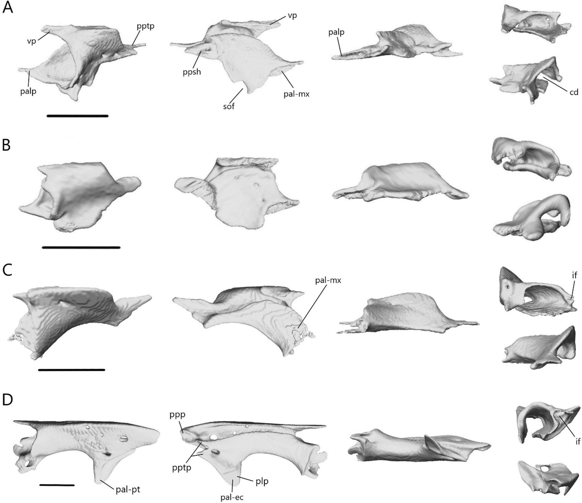 Fig. 18