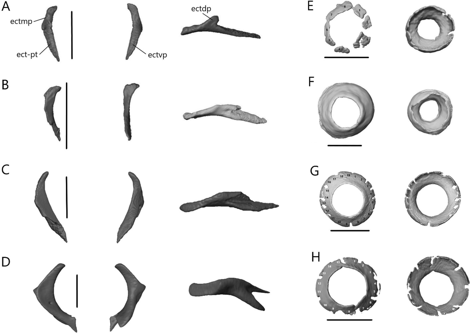 Fig. 21