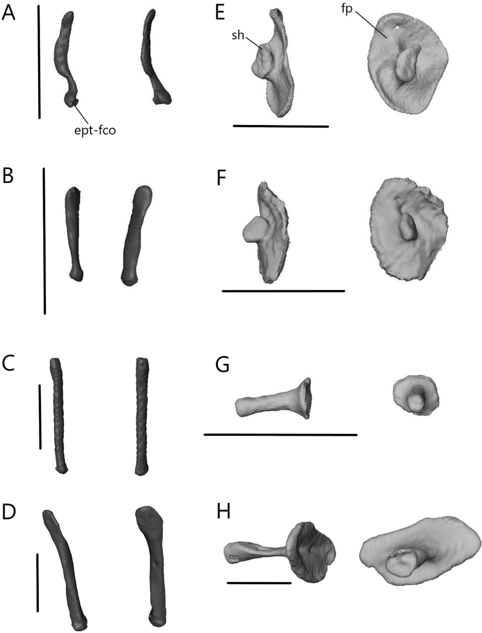 Fig. 23