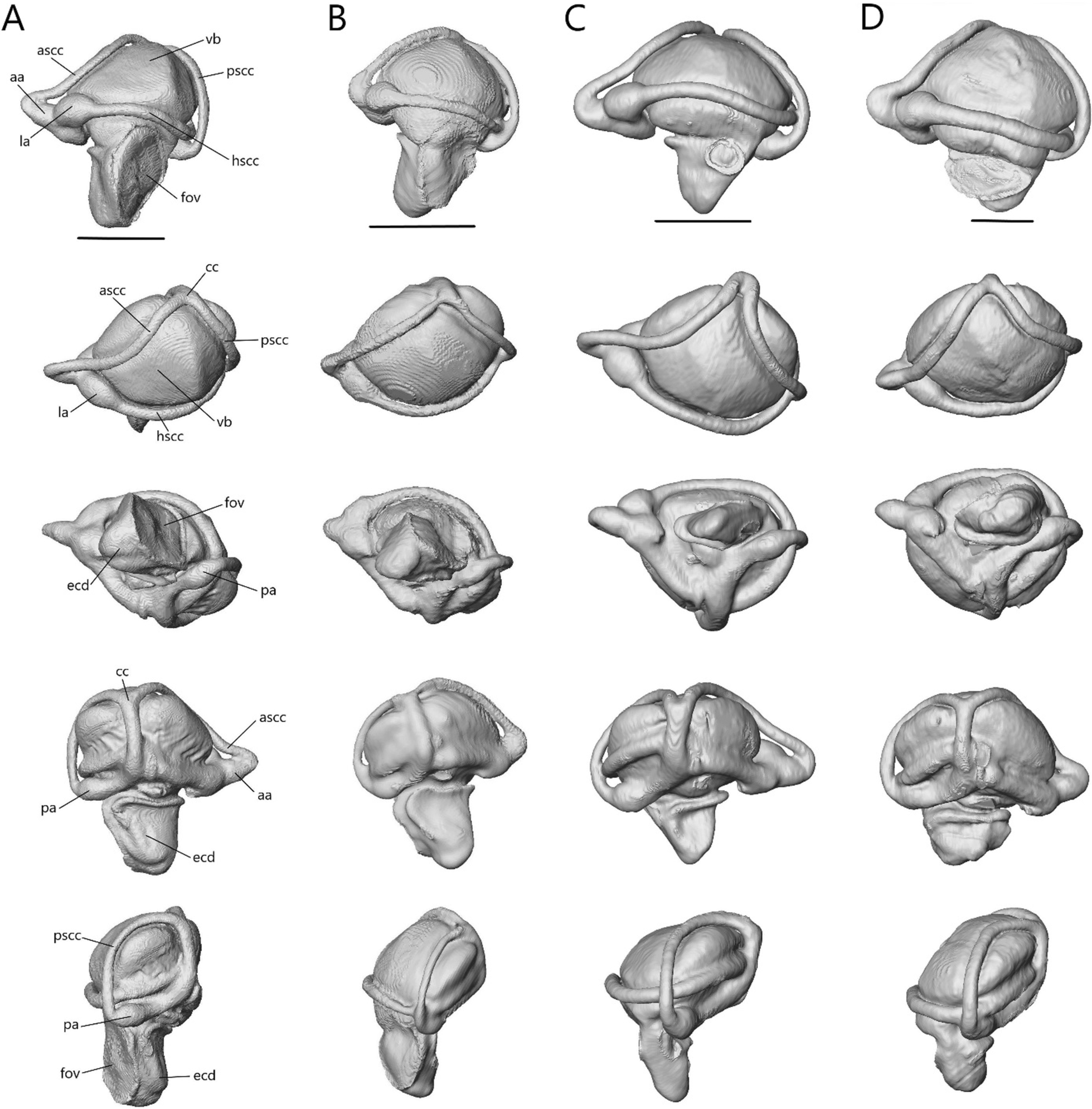 Fig. 29