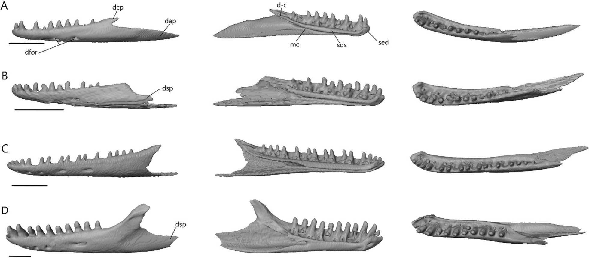 Fig. 30