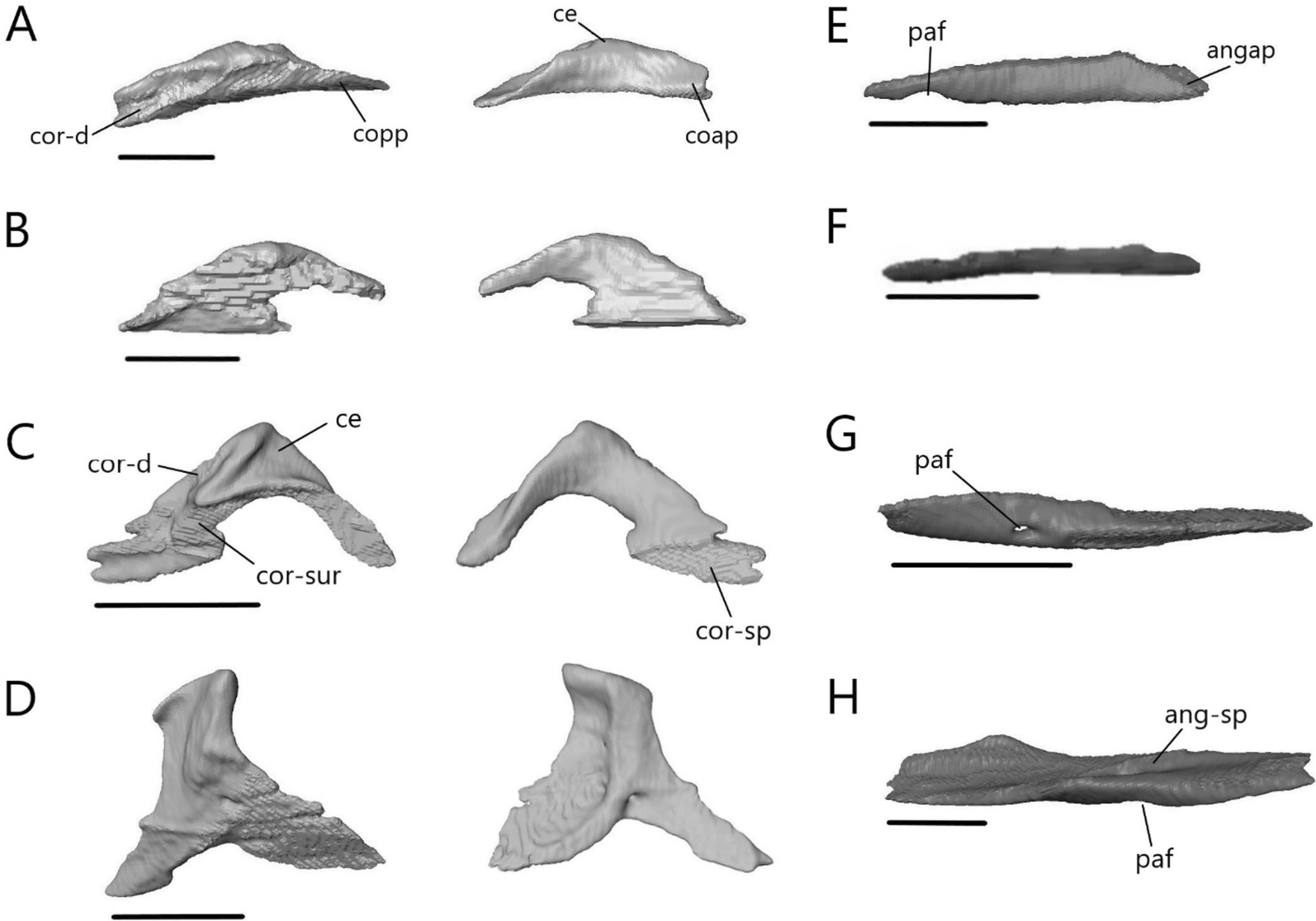 Fig. 32