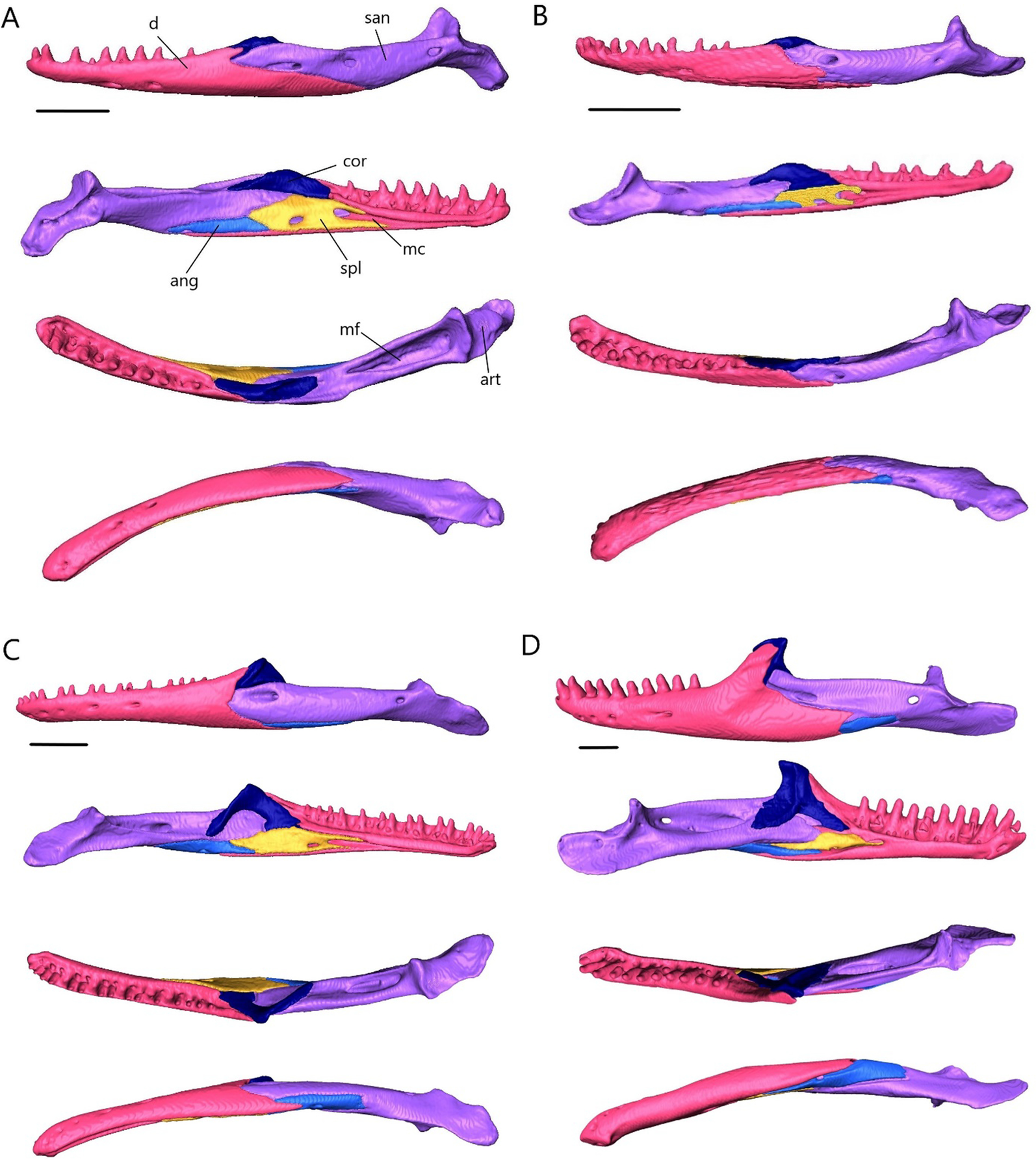 Fig. 7