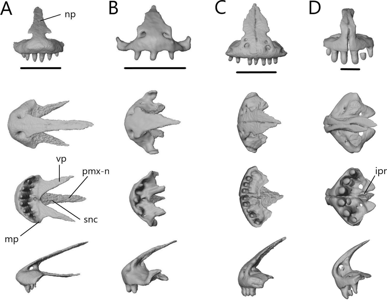 Fig. 8